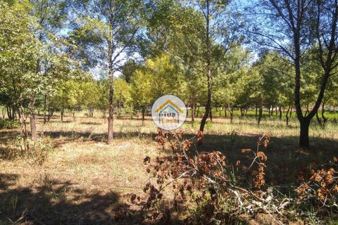 Farm i Viseu, Viseu, Viseu - € 450.000 | Ref: 2TC2604 - foto 25