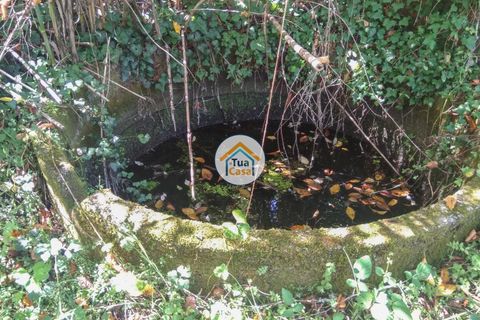 Farm i Viseu, Viseu, Viseu - € 450.000 | Ref: 2TC2604 - foto 26