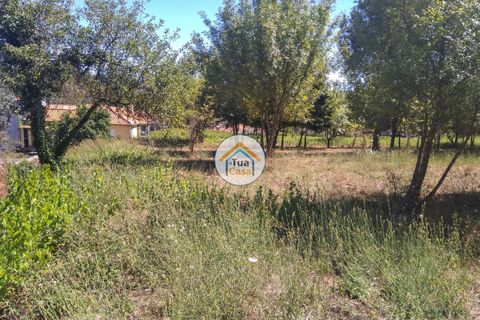 Farm i Viseu, Viseu, Viseu - € 450.000 | Ref: 2TC2604 - foto 27