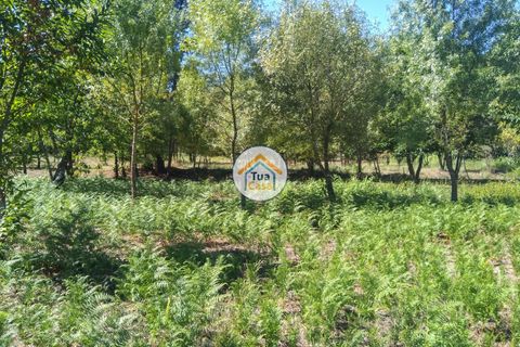 Farm i Viseu, Viseu, Viseu - € 450.000 | Ref: 2TC2604 - foto 28