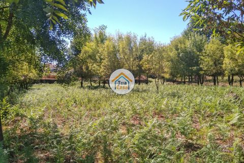Farm i Viseu, Viseu, Viseu - € 450.000 | Ref: 2TC2604 - foto 29