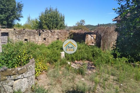 Farm i Viseu, Viseu, Viseu - € 450.000 | Ref: 2TC2604 - foto 30