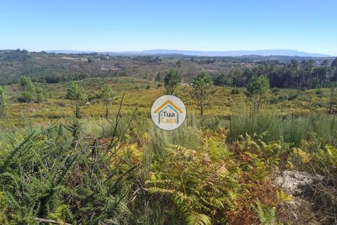 Farm i Viseu, Viseu, Viseu - € 450.000 | Ref: 2TC2604 - foto 31