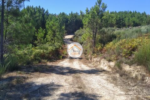 Farm i Viseu, Viseu, Viseu - € 450.000 | Ref: 2TC2604 - foto 32