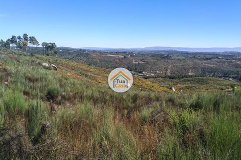 Farm i Viseu, Viseu, Viseu - € 450.000 | Ref: 2TC2604 - foto 33