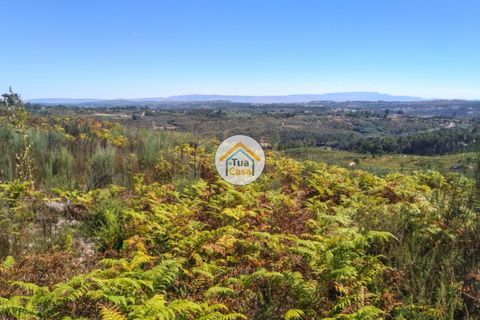 Farm i Viseu, Viseu, Viseu - € 450.000 | Ref: 2TC2604 - foto 34