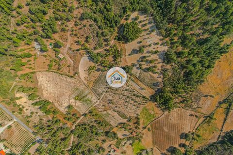 Terra a Sernancelhe, Viseu, Sernancelhe - € 150.000 | Ref: 2TC2636 - foto 2