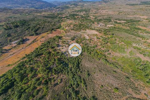 Terra a Sernancelhe, Viseu, Sernancelhe - € 150.000 | Ref: 2TC2636 - foto 3
