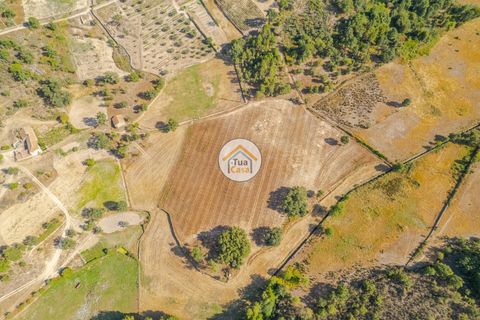 Terra a Sernancelhe, Viseu, Sernancelhe - € 150.000 | Ref: 2TC2636 - foto 4