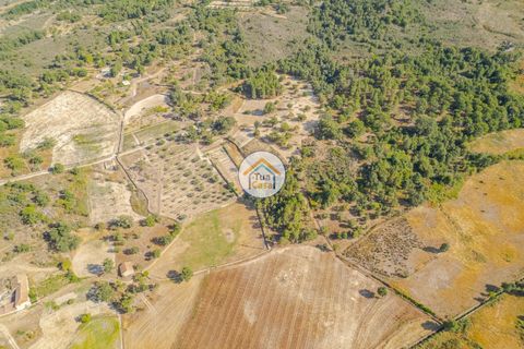 Terra a Sernancelhe, Viseu, Sernancelhe - € 150.000 | Ref: 2TC2636 - foto 5
