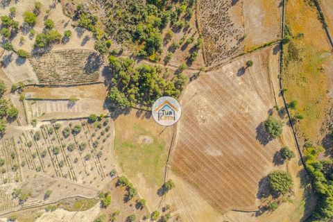 Terra a Sernancelhe, Viseu, Sernancelhe - € 150.000 | Ref: 2TC2636 - foto 6