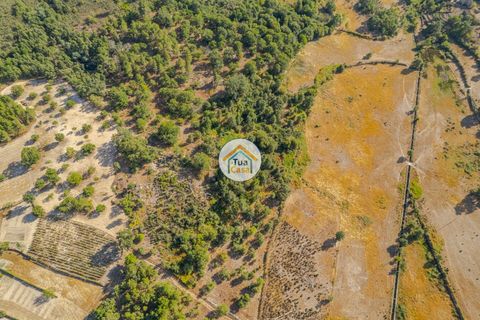 Terra a Sernancelhe, Viseu, Sernancelhe - € 150.000 | Ref: 2TC2636 - foto 7