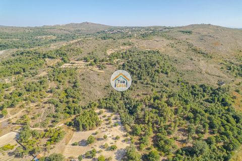 Terra a Sernancelhe, Viseu, Sernancelhe - € 150.000 | Ref: 2TC2636 - foto 8