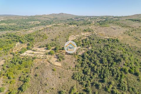 Terra a Sernancelhe, Viseu, Sernancelhe - € 150.000 | Ref: 2TC2636 - foto 9