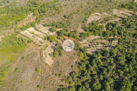 Terra a Sernancelhe, Viseu, Sernancelhe - € 150.000 | Ref: 2TC2636 - foto 10