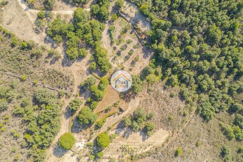 Terra a Sernancelhe, Viseu, Sernancelhe - € 150.000 | Ref: 2TC2636 - foto 11