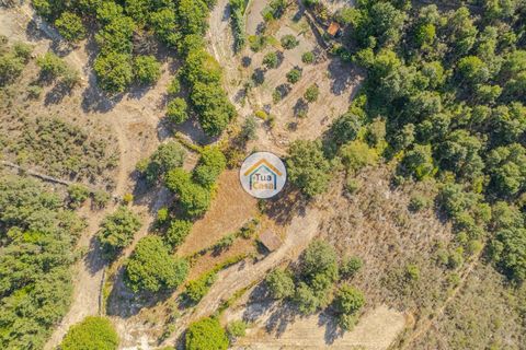 Terra a Sernancelhe, Viseu, Sernancelhe - € 150.000 | Ref: 2TC2636 - foto 12