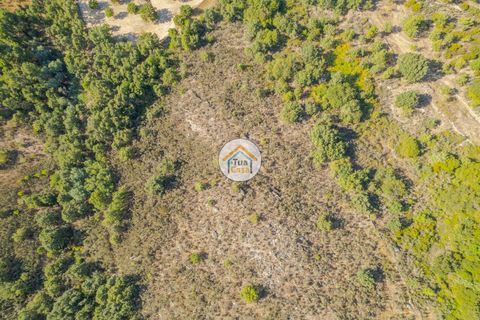 Terra a Sernancelhe, Viseu, Sernancelhe - € 150.000 | Ref: 2TC2636 - foto 17