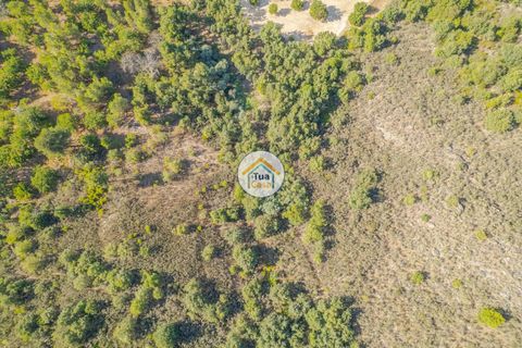 Terra a Sernancelhe, Viseu, Sernancelhe - € 150.000 | Ref: 2TC2636 - foto 18
