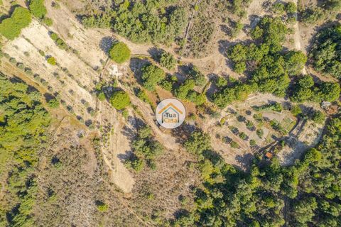 Terra a Sernancelhe, Viseu, Sernancelhe - € 150.000 | Ref: 2TC2636 - foto 19