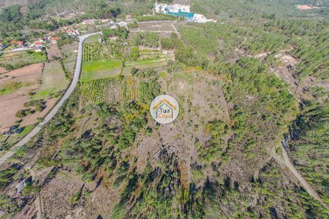 Helårsgrund i Mangualde, Viseu, Mangualde - € 10.000 | Ref: 2TC2838 - foto 1
