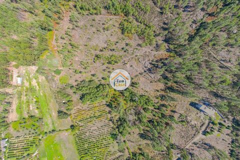 Helårsgrund i Mangualde, Viseu, Mangualde - € 10.000 | Ref: 2TC2838 - foto 2