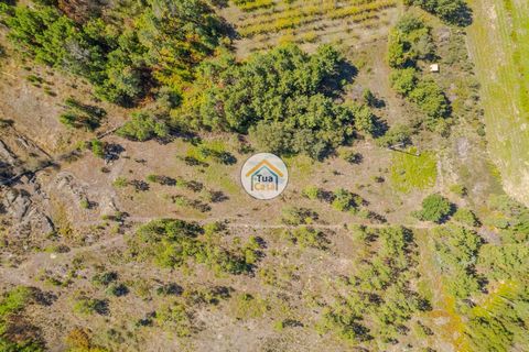 Helårsgrund i Mangualde, Viseu, Mangualde - € 10.000 | Ref: 2TC2838 - foto 3