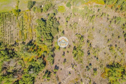 Helårsgrund i Mangualde, Viseu, Mangualde - € 10.000 | Ref: 2TC2838 - foto 5