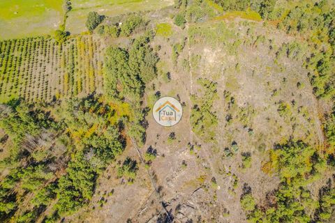 Helårsgrund i Mangualde, Viseu, Mangualde - € 10.000 | Ref: 2TC2838 - foto 6