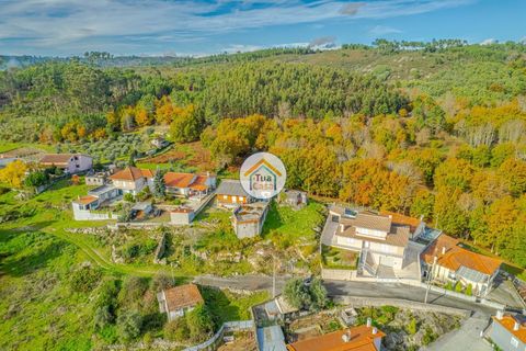 Helårsgrund i Viseu, Viseu, Viseu - € 17.000 | Ref: 2TC2918 - foto 3