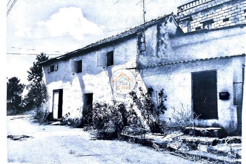 Helårsgrund i Viseu, Viseu, Viseu - € 17.000 | Ref: 2TC2918 - foto 12