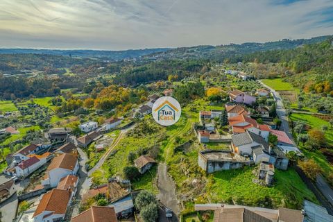 Helårsgrund i Viseu, Viseu, Viseu - € 17.000 | Ref: 2TC2918 - foto 21