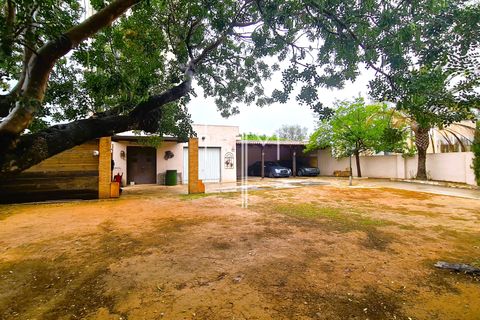 Villa i Alberic, Valencia - foto 4