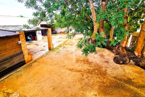 Villa i Alberic, Valencia, Alberic - € 325.000 | Ref: MonT111 - foto 48