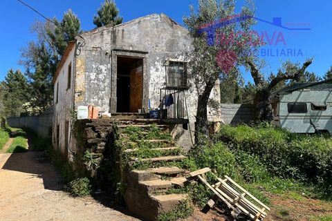 Landejendom i Castelo Branco, Castelo Branco, Castelo Branco - € 25.000 | Ref: VV313/0424 - foto 3