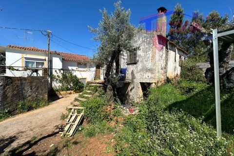 Landejendom i Castelo Branco, Castelo Branco, Castelo Branco - € 25.000 | Ref: VV313/0424 - foto 5