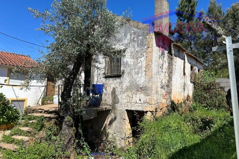 Landejendom i Castelo Branco, Castelo Branco, Castelo Branco - € 25.000 | Ref: VV313/0424 - foto 6