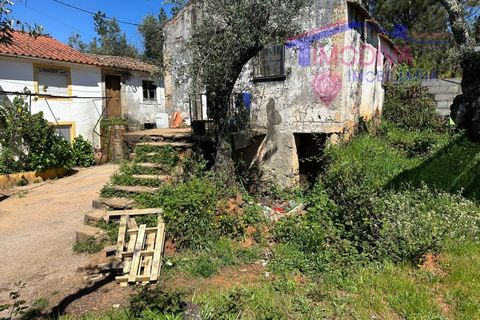 Landejendom i Castelo Branco, Castelo Branco, Castelo Branco - € 25.000 | Ref: VV313/0424 - foto 7