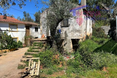 Landejendom i Castelo Branco, Castelo Branco, Castelo Branco - € 25.000 | Ref: VV313/0424 - foto 10