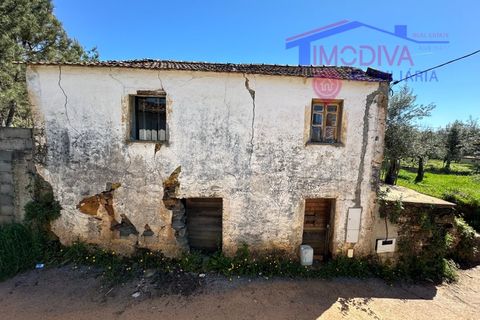 Landejendom i Castelo Branco, Castelo Branco, Castelo Branco - € 25.000 | Ref: VV313/0424 - foto 11