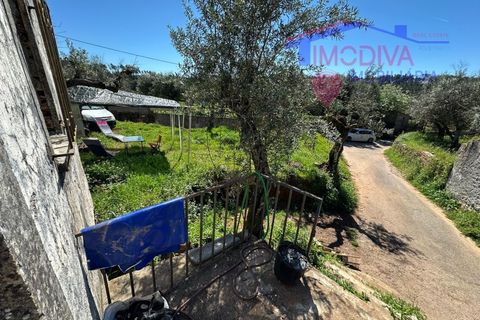 Landejendom i Castelo Branco, Castelo Branco, Castelo Branco - € 25.000 | Ref: VV313/0424 - foto 19