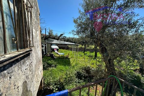 Landejendom i Castelo Branco, Castelo Branco, Castelo Branco - € 25.000 | Ref: VV313/0424 - foto 20