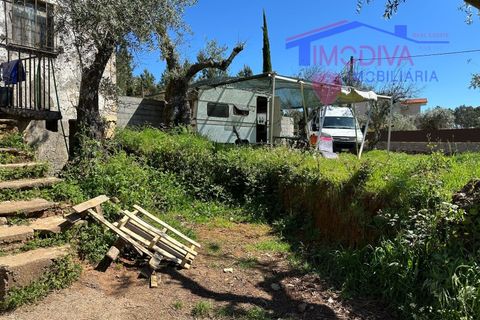 Landejendom i Castelo Branco, Castelo Branco, Castelo Branco - € 25.000 | Ref: VV313/0424 - foto 21