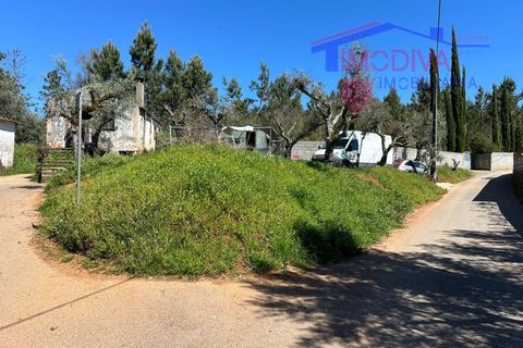 Landejendom i Castelo Branco, Castelo Branco, Castelo Branco - € 25.000 | Ref: VV313/0424 - foto 22