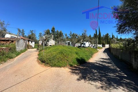 Landejendom i Castelo Branco, Castelo Branco, Castelo Branco - € 25.000 | Ref: VV313/0424 - foto 23