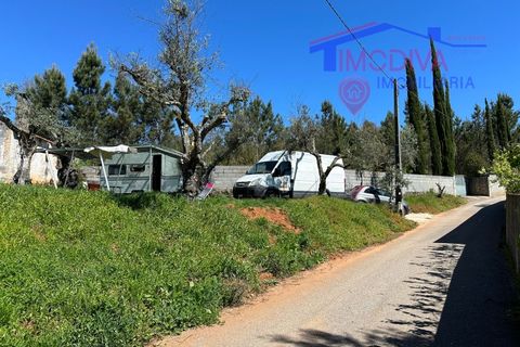 Landejendom i Castelo Branco, Castelo Branco, Castelo Branco - € 25.000 | Ref: VV313/0424 - foto 24