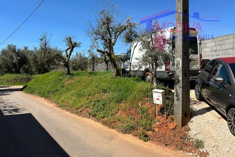 Landejendom i Castelo Branco, Castelo Branco, Castelo Branco - € 25.000 | Ref: VV313/0424 - foto 26