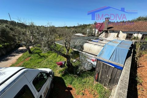 Landejendom i Castelo Branco, Castelo Branco, Castelo Branco - € 25.000 | Ref: VV313/0424 - foto 28