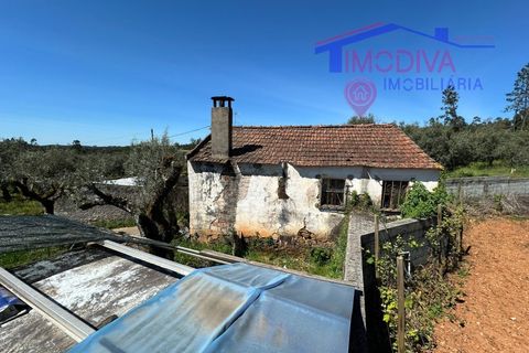 Landejendom i Castelo Branco, Castelo Branco, Castelo Branco - € 25.000 | Ref: VV313/0424 - foto 29