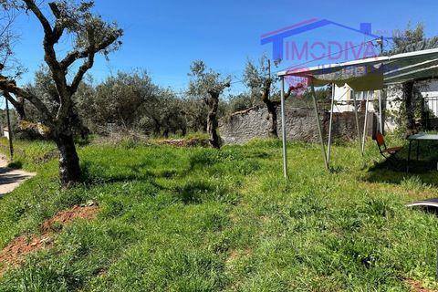 Landejendom i Castelo Branco, Castelo Branco, Castelo Branco - € 25.000 | Ref: VV313/0424 - foto 31